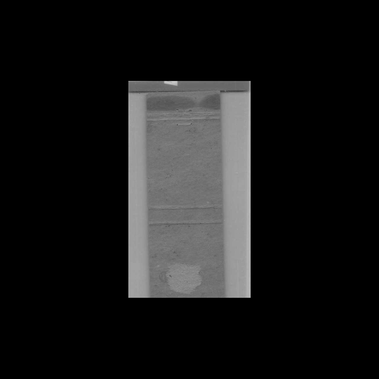 Club Chenango Coquille OR Matchbook Cover Club Chenango Coquille OR Matchbook Cover