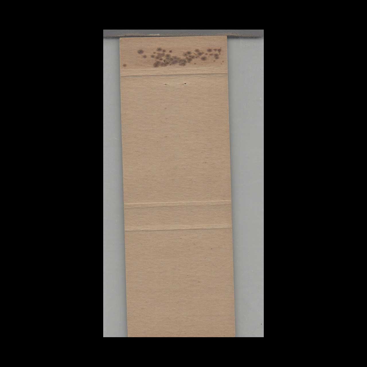 Matchbook Cover Motel 71 Redwood Falls MN Matchbook Cover Motel 71 Redwood Falls MN