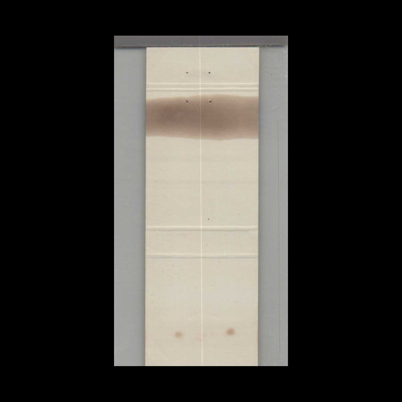 Matchbook Cover Sarasota FL Tippett Stamps Coins & Supplies Matchbook Cover Sarasota FL Tippett Stamps Coins & Supplies