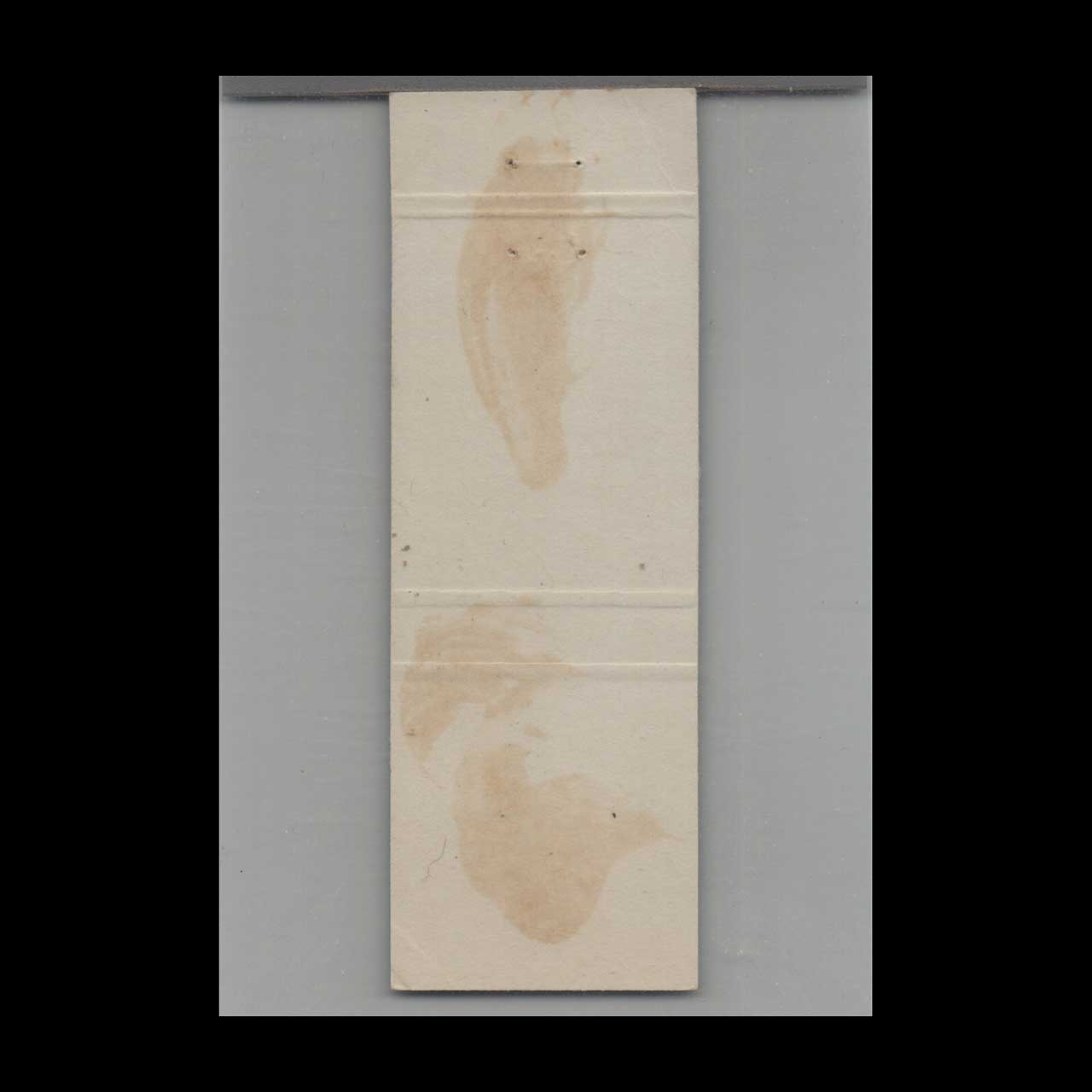 Pig The Hog Penny Pub Matchbook Cover Hamilton Bermuda Pig The Hog Penny Pub Matchbook Cover Hamilton Bermuda