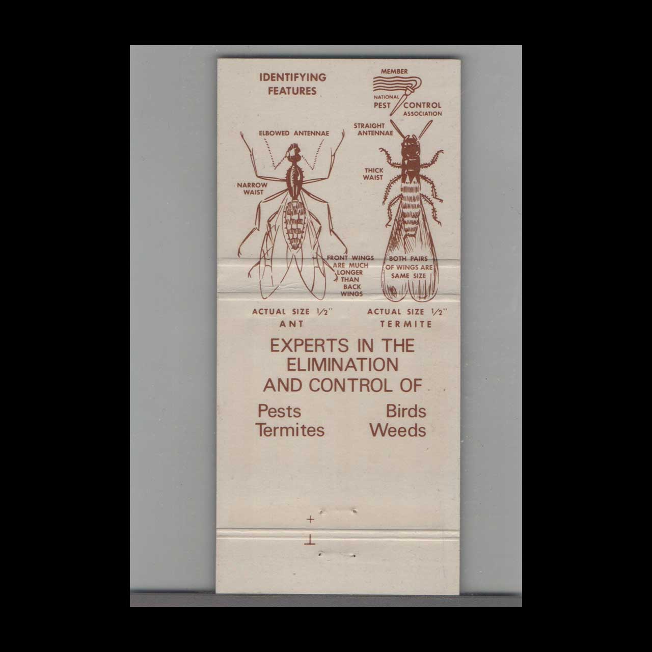 Griggs & Browne Pest Control Matchbook Cover Providence RI Griggs & Browne Pest Control Matchbook Cover Providence RI