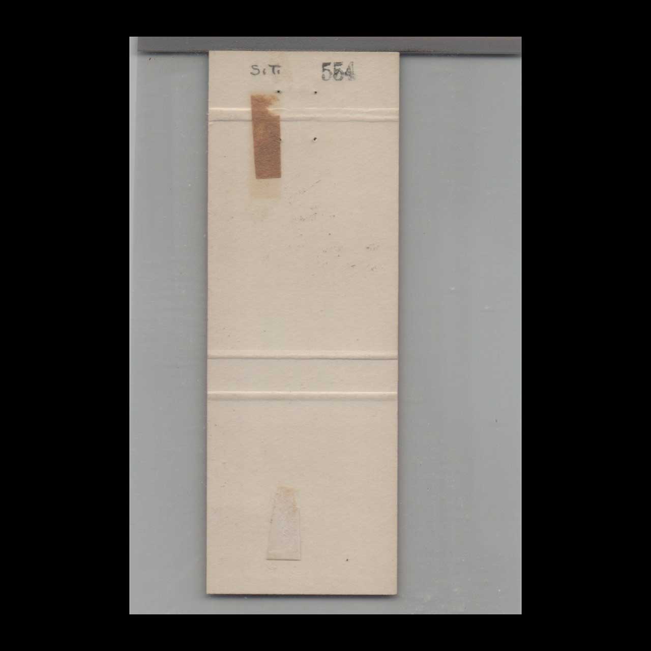 Matchbook Cover Allamanda Motel Port Richey FL Matchbook Cover Allamanda Motel Port Richey FL