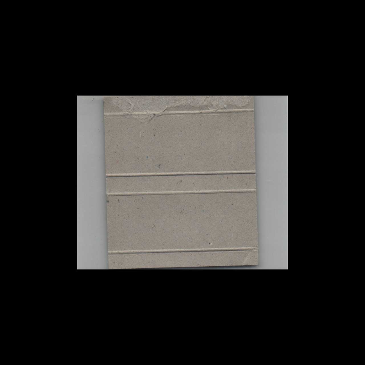 Raintree Restaurant Matchbook Cover St Augustine FL Raintree Restaurant Matchbook Cover St Augustine FL