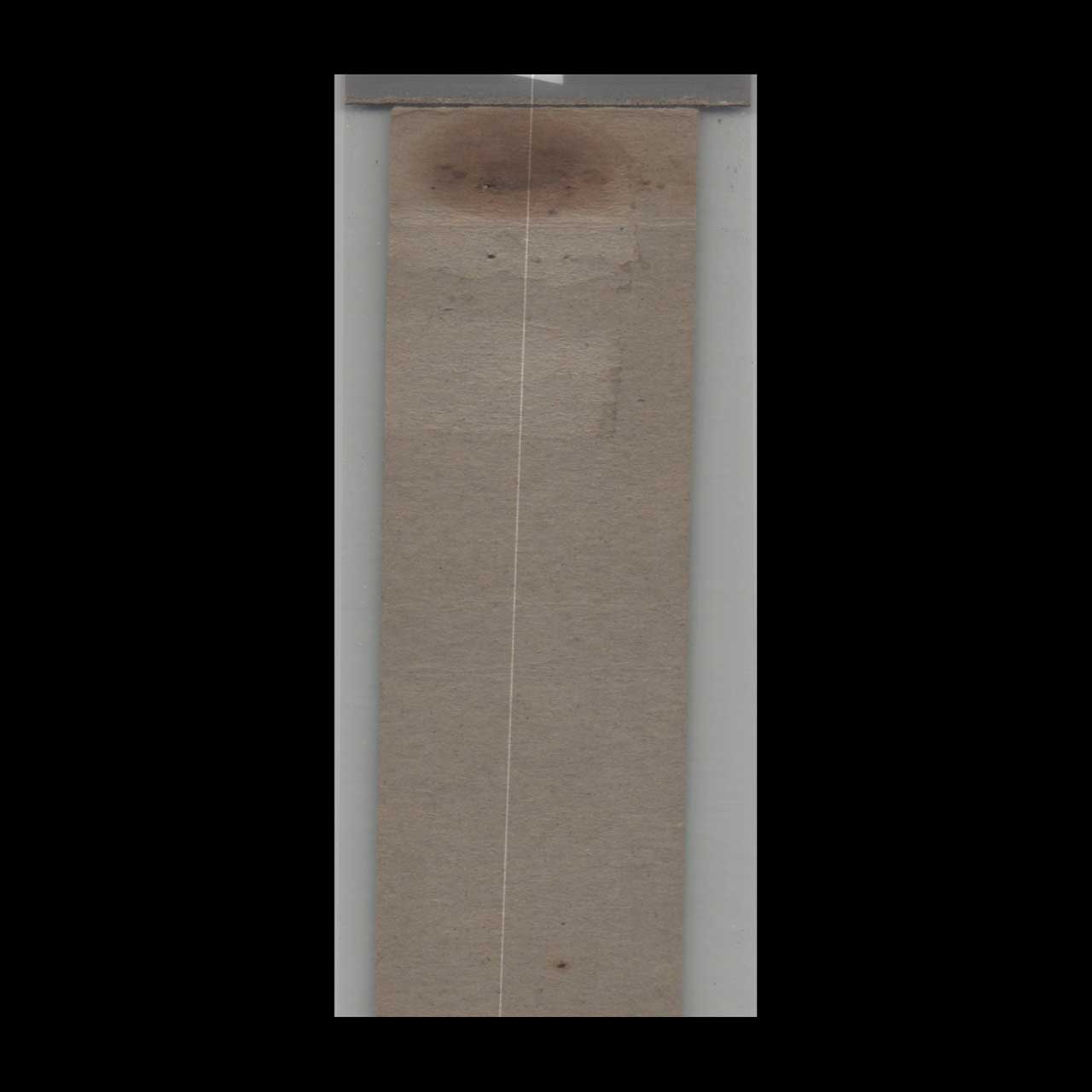 1930s Torpeys Inn Matchbook Cover Atlantic City NJ 1930s Torpeys Inn Matchbook Cover Atlantic City NJ