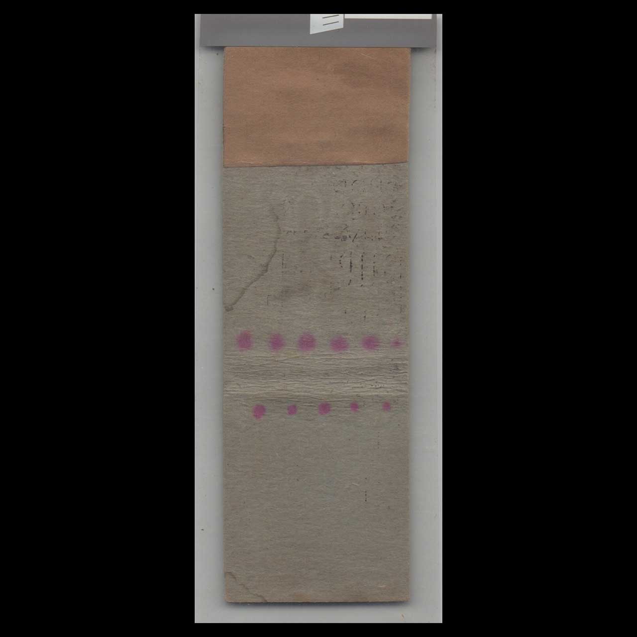 1930s Star Match Co Hotel Holland Medford OR Matchbook Cover 1930s Star Match Co Hotel Holland Medford OR Matchbook Cover